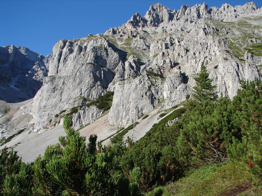 Apartmán Haus Latschenheim Ramsau am Dachstein Exteriér fotografie